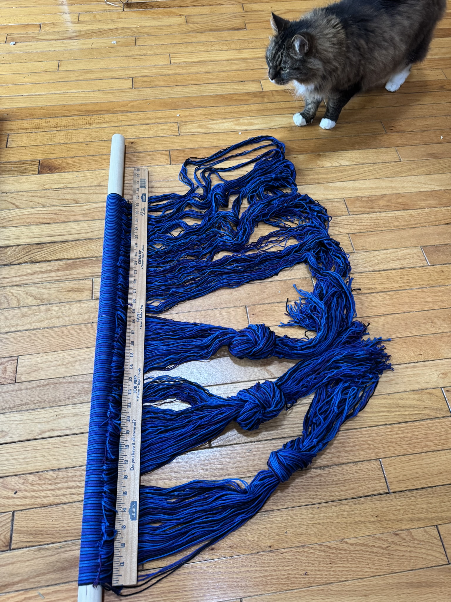 So Many Strings, Not Enough Weights